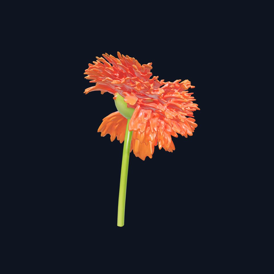 Chrysanthemum Orange Flower Model Pack